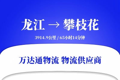 龙江到攀枝花物流公司,龙江到攀枝花货运,龙江至攀枝花物流专线